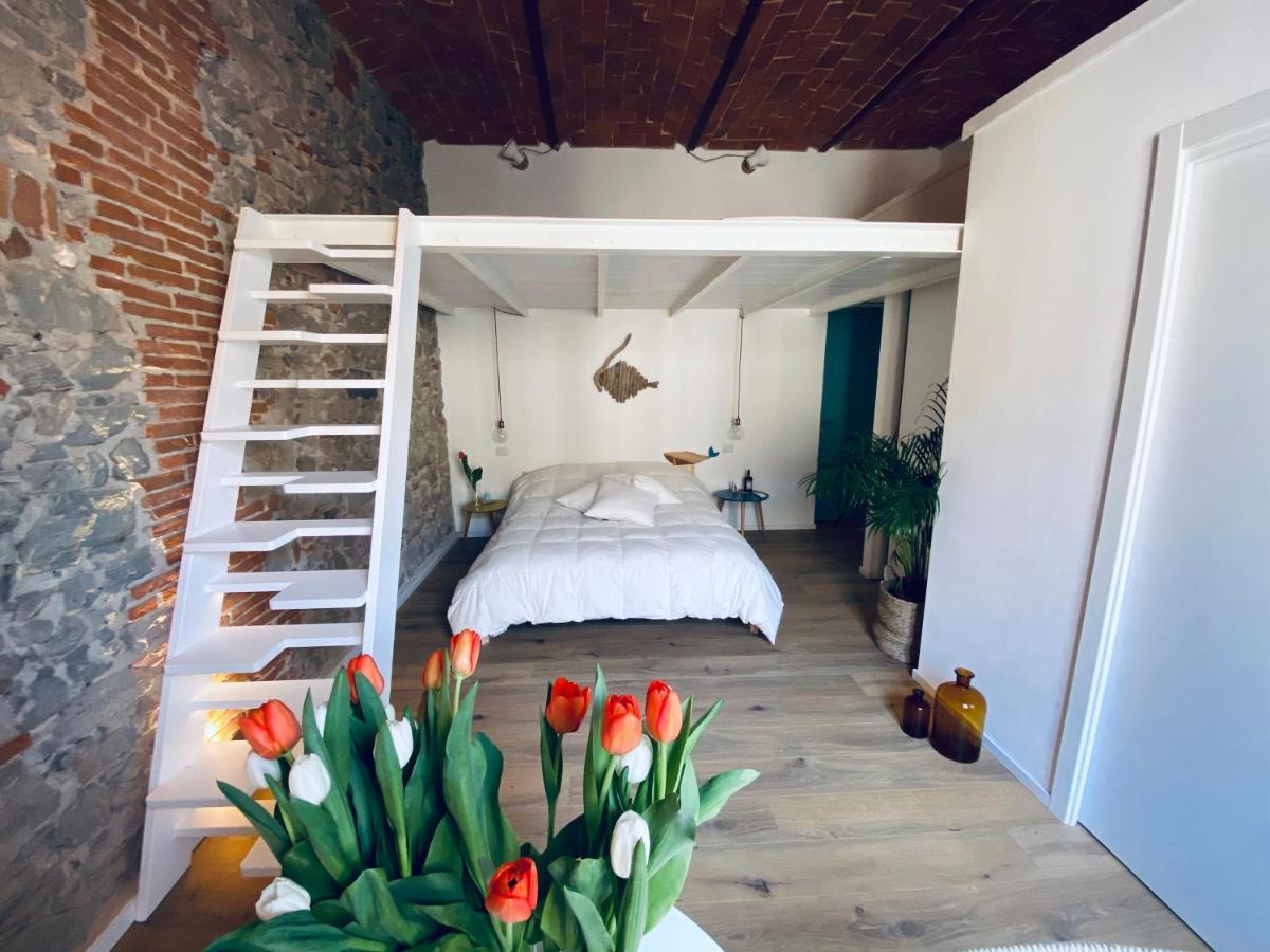 CivicoNovantatre - New b&b San Vincenzo Esterno foto